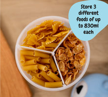 Load image into Gallery viewer, Multi-Compartment Container