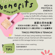 Load image into Gallery viewer, Let's Chew (From 10 months)