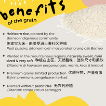 Load image into Gallery viewer, Fresh Start from 6 months (PREMIUM Range)l