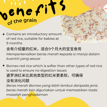 Load image into Gallery viewer, Junior Nutri-Colour from 9 months (PREMIUM Range)