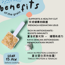 Load image into Gallery viewer, Let's Nourish (From 15 months)