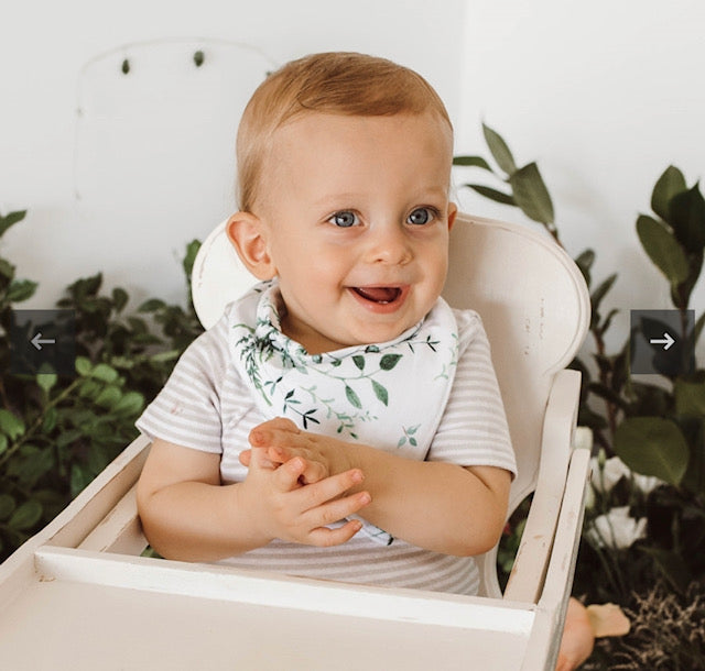 Enchanted - Dribble Bib