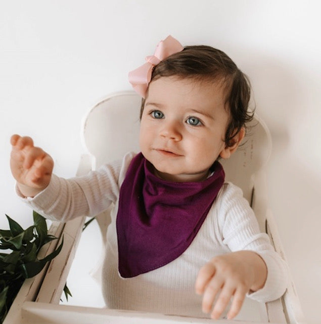 Fig - Dribble Bib